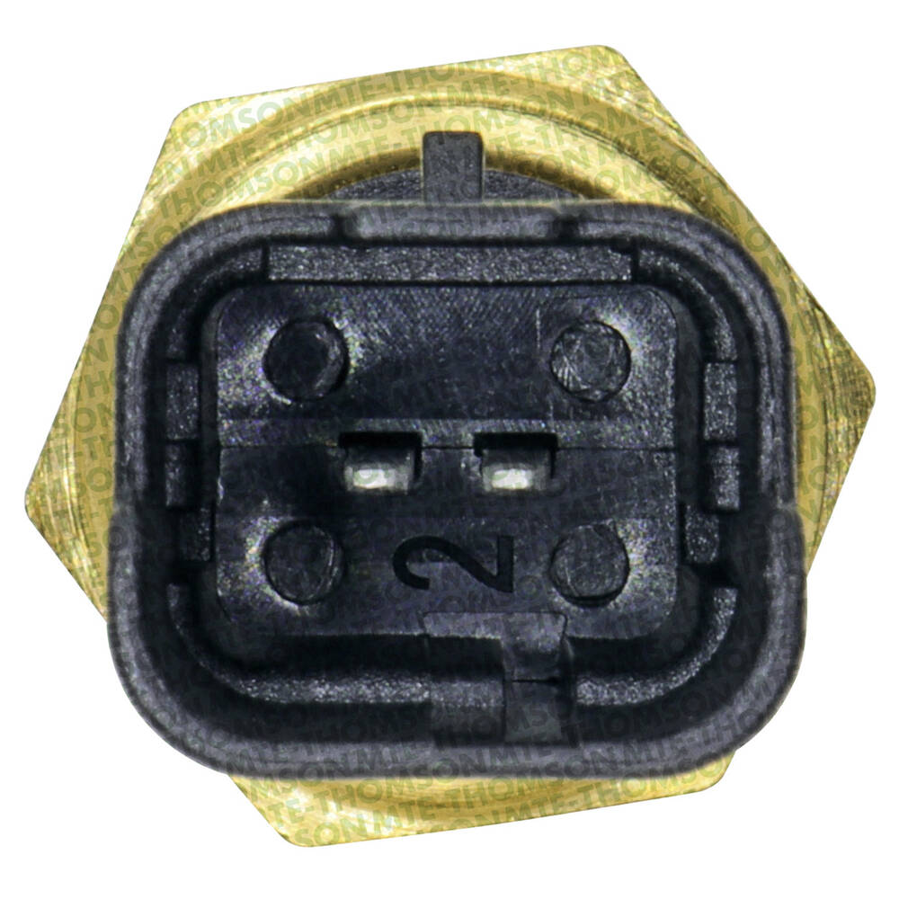 4328 - PLUG ELETRÔNICO - ÁGUA - CatE (MTE-THOMSON)